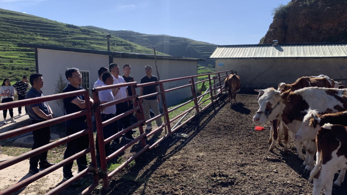 甘肅工程咨詢集團(tuán)黨委書記、董事長宋忠慶一行赴卓尼縣柳林鎮(zhèn)幫扶村調(diào)研慰問